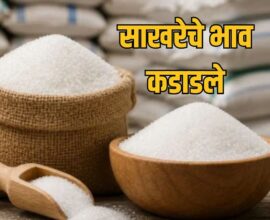 Sugar Price Hike