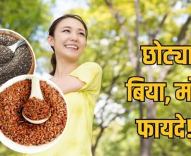 Superfood Seeds