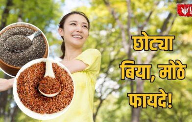 Lok Shevay Marathi News (लोकशिवाय मराठी बातम्या) - Superfood Seeds Superfood Seeds