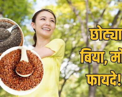 Superfood Seeds
