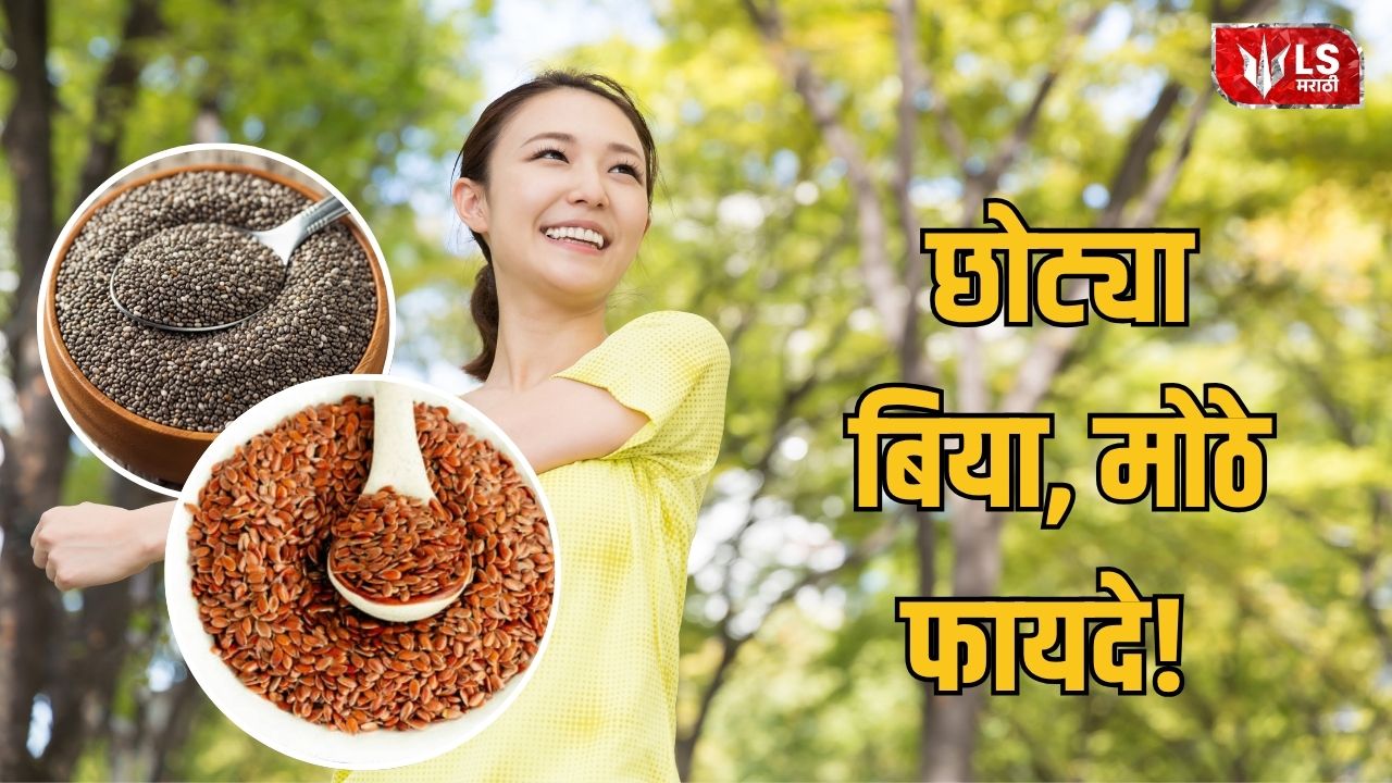 Lok Shevay Marathi News (लोकशिवाय मराठी बातम्या) - Superfood Seeds Superfood Seeds