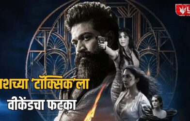 Lok Shevay Marathi News (लोकशिवाय मराठी बातम्या) - Toxic box office collection Toxic box office collection