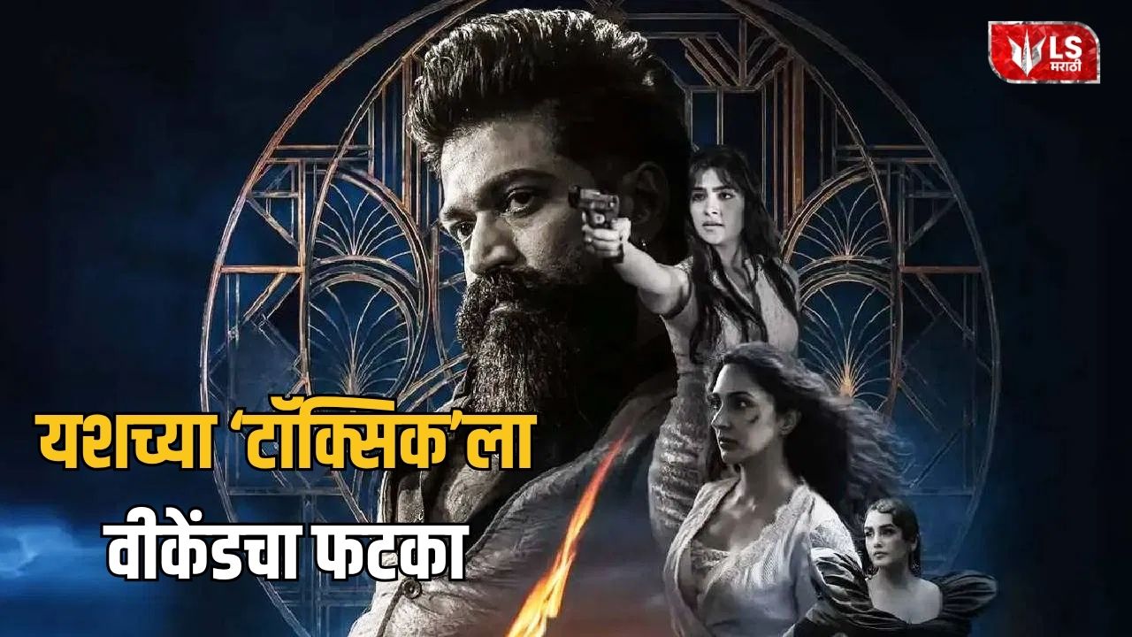 Lok Shevay Marathi News (लोकशिवाय मराठी बातम्या) - Toxic box office collection Toxic box office collection