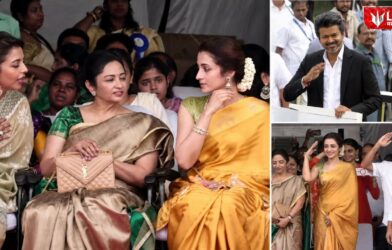 Trisha Krishnan Vijay Viral Video