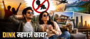 Lok Shevay Marathi News (लोकशिवाय मराठी बातम्या) - What Is Dink Meaning 1 What Is Dink Meaning
