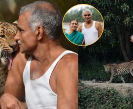 Prakash Amte Life Story