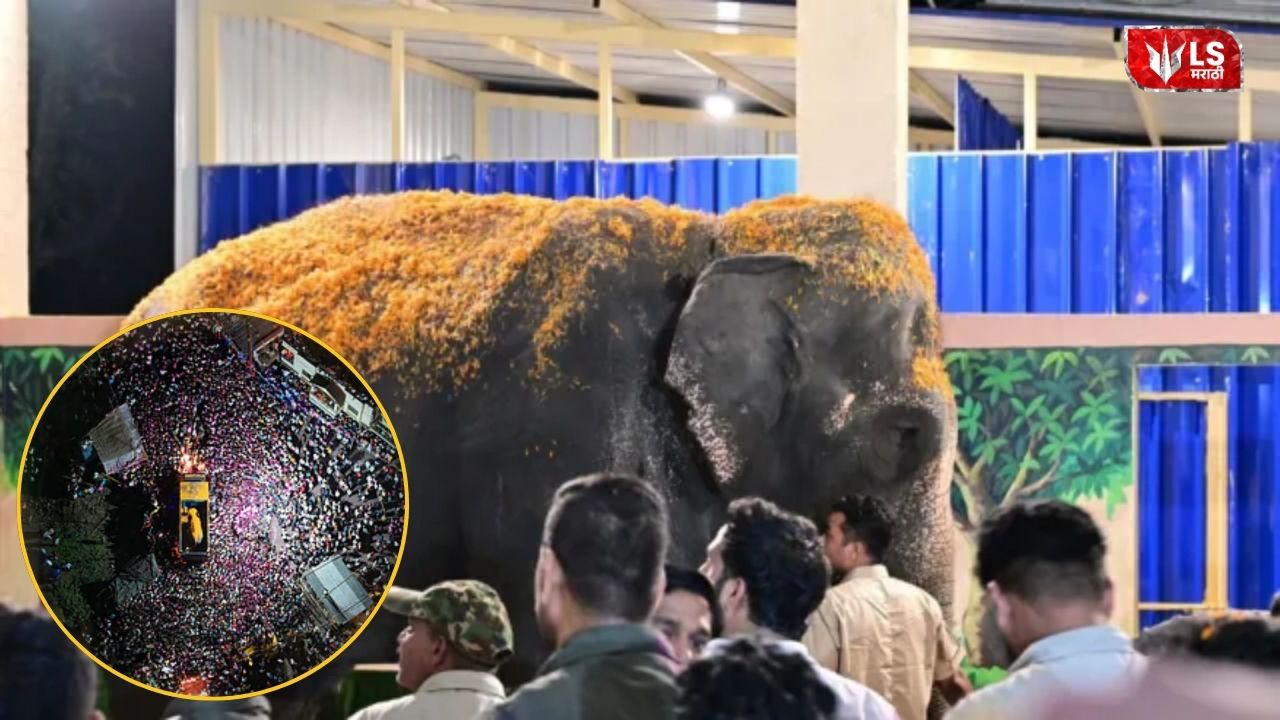 Madhuri Elephant