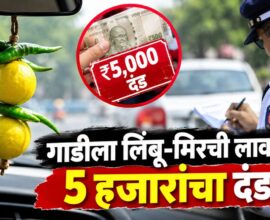 Lemon Chilli Vehicle Fine