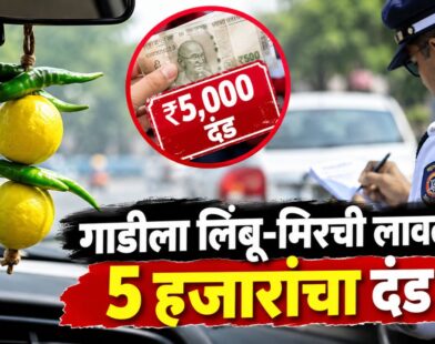 Lemon Chilli Vehicle Fine