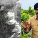 Panjabrao Dakh Weather