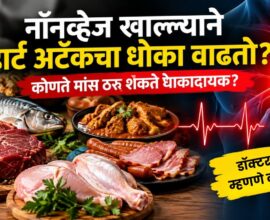 Non Veg Heart Attack