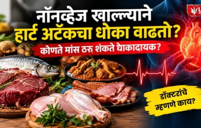 Non Veg Heart Attack