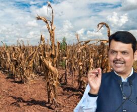 Maharashtra Cabinet Meeting