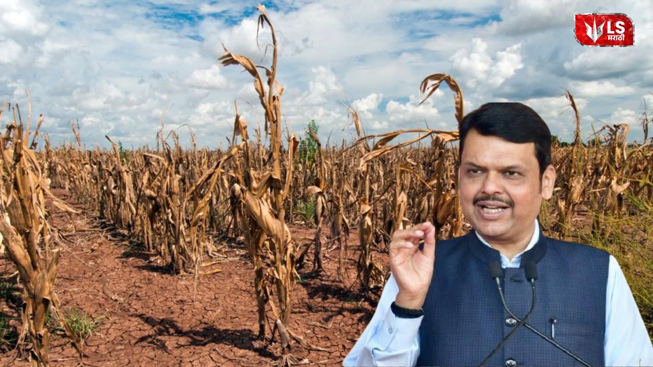 Maharashtra Cabinet Meeting