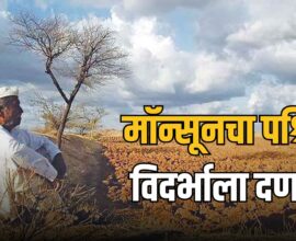 West Vidarbha Rain