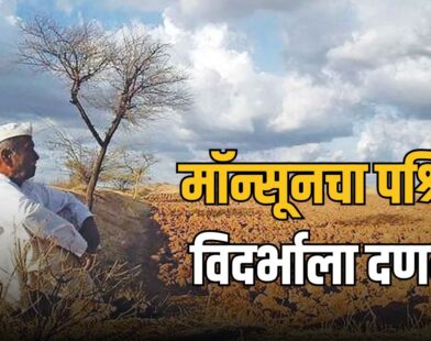 West Vidarbha Rain