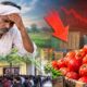 Marathwada Drought