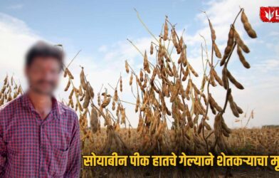 Dharashiv Farmer Suicide