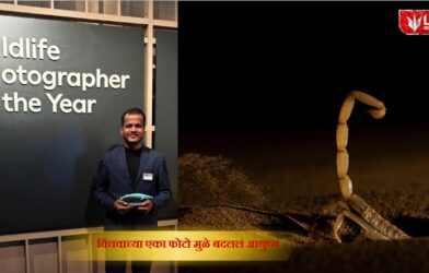 Lok Shevay Marathi News (लोकशिवाय मराठी बातम्या) - Harshad website 2026 10 23T134830.806 Sitaram Raul Wildlife Photography Award