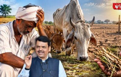 Maharashtra Drought 2026