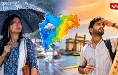 Maharashtra Weather Update
