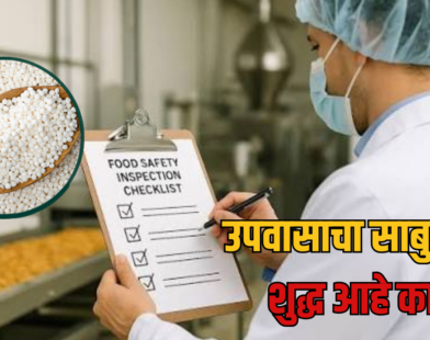 Sabudana Adulteration : उपवासाच्या साबुदाण्यात भेसळ आहे का? खरेदी करण्यापूर्वी 'या' गोष्टी नक्की तपासा!