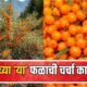 Sea Buckthorn Benefits 80x80