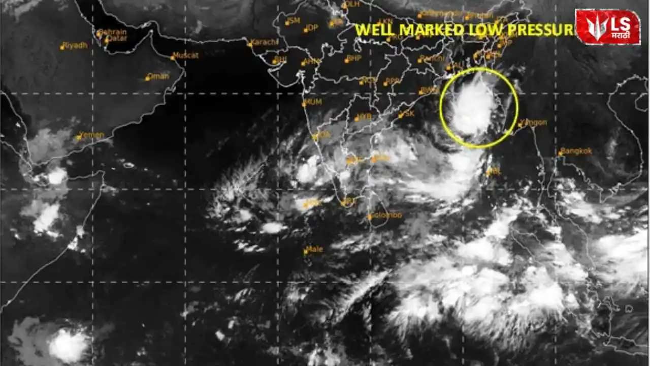 Lok Shevay Marathi News (लोकशिवाय मराठी बातम्या) - Shivani Lokshevay 11 4 Maharashtra Weather Update