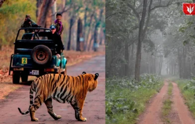IRCTC Van Darshan Tour