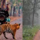 IRCTC Van Darshan Tour