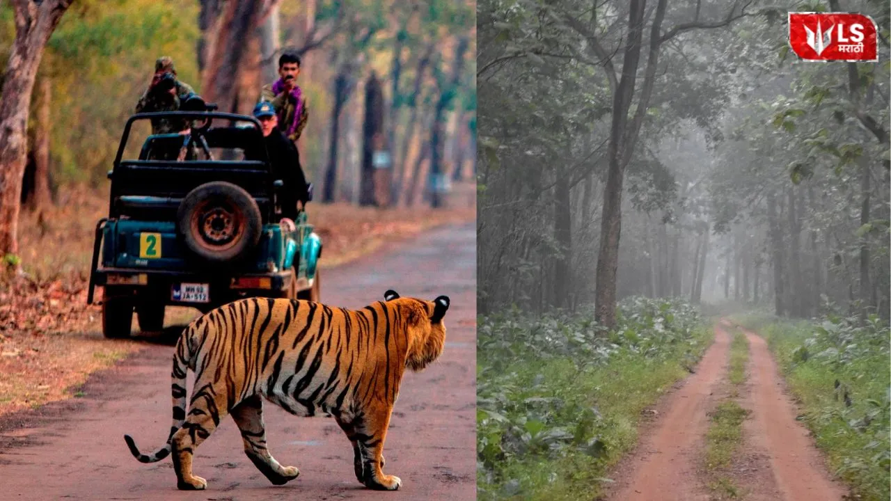 IRCTC Van Darshan Tour