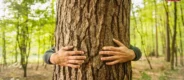 Forest Conservation