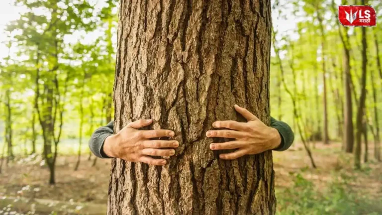 Forest Conservation