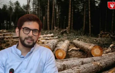 Karjat Trees Cutting