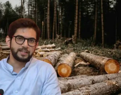 Karjat Trees Cutting
