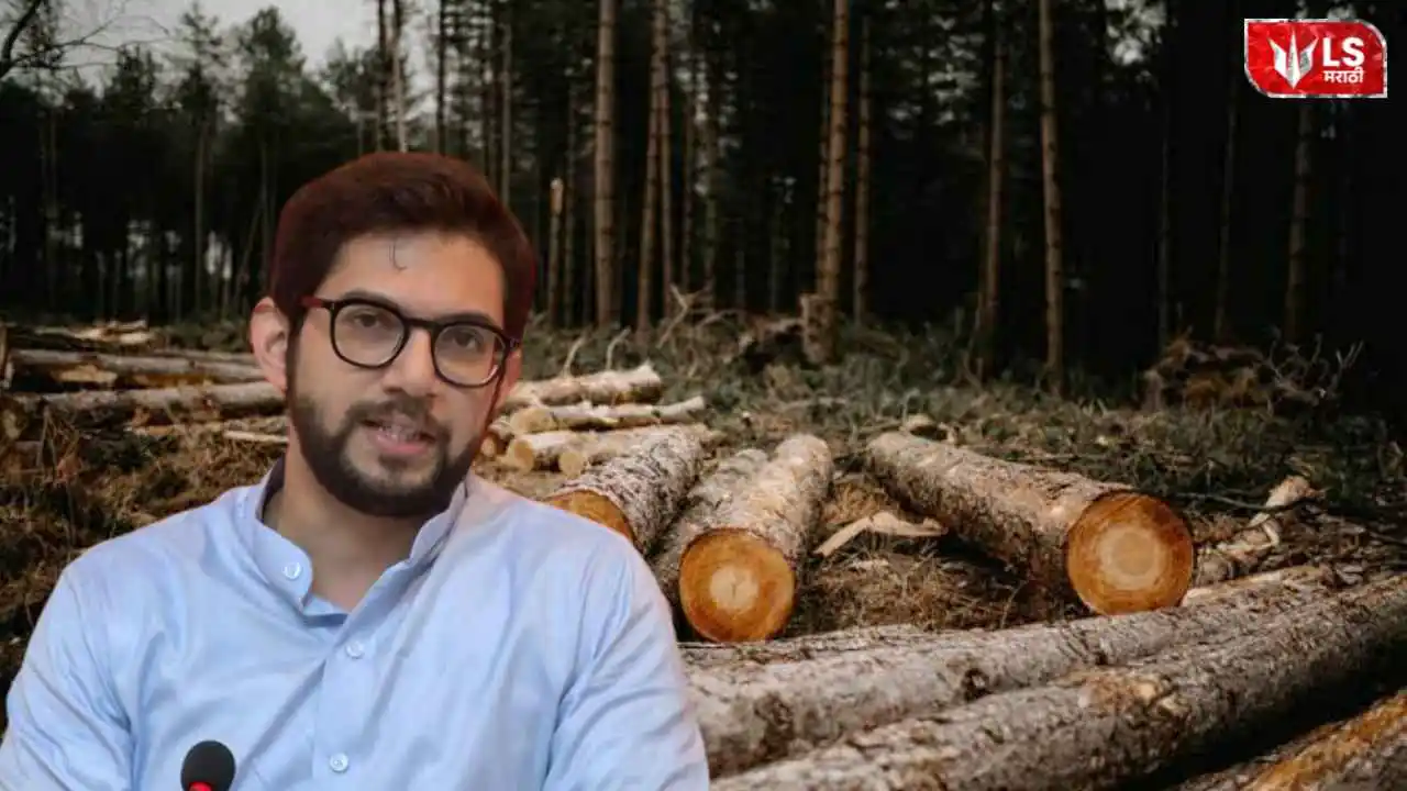 Lok Shevay Marathi News (लोकशिवाय मराठी बातम्या) - Shivani Lokshevay 31 Karjat Trees Cutting