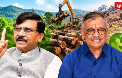 Karjat Tree Cutting
