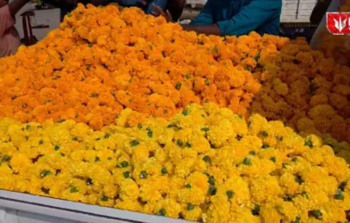 Marigold Flower Demand Dussehra 2026