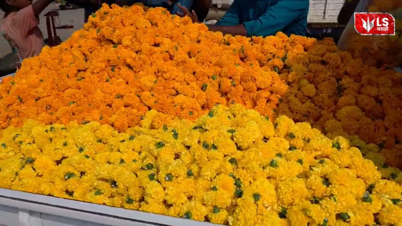 Marigold Flower Demand Dussehra 2026