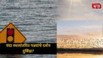Migratory Birds