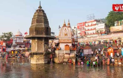 Lok Shevay Marathi News (लोकशिवाय मराठी बातम्या) - Shivani Lokshevay 81 Nashik Kumbh Mela 2027