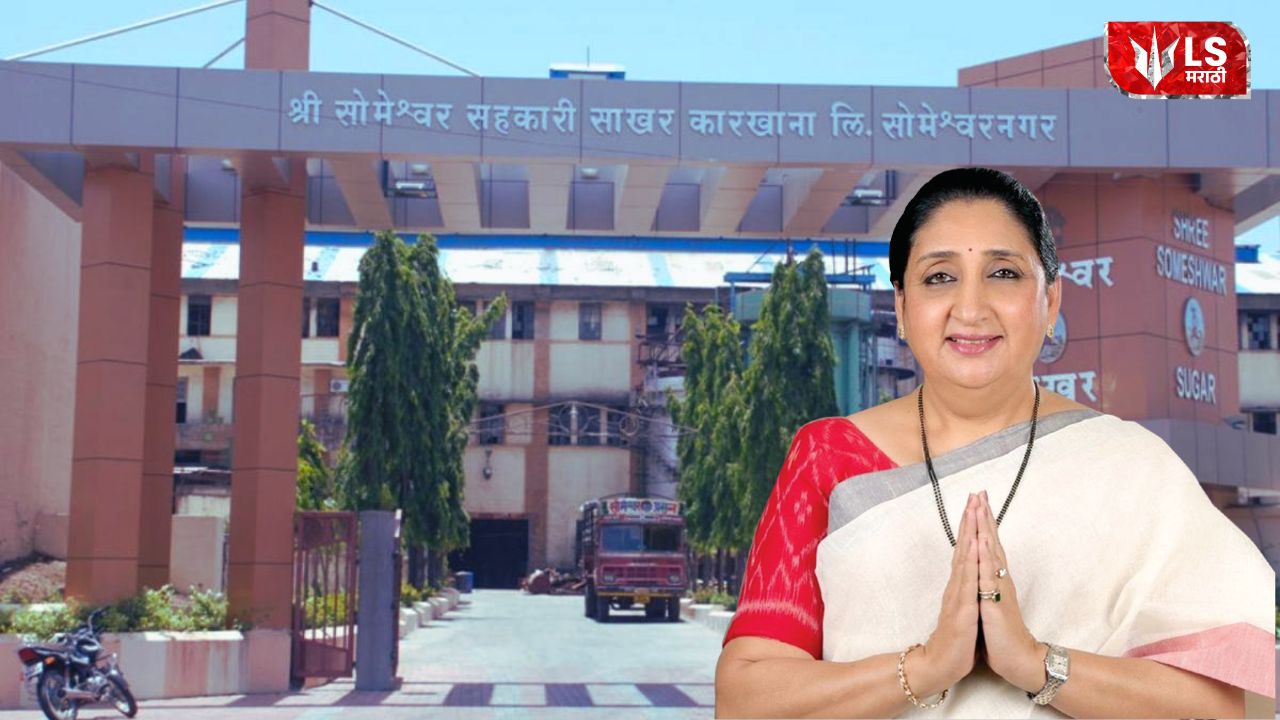 Lok Shevay Marathi News (लोकशिवाय मराठी बातम्या) - Someshwar Sugar Factory Election Someshwar Sugar Factory Election