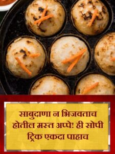 Lok Shevay Marathi News (लोकशिवाय मराठी बातम्या) - cropped web story 11 Sabudana Appe Recipe